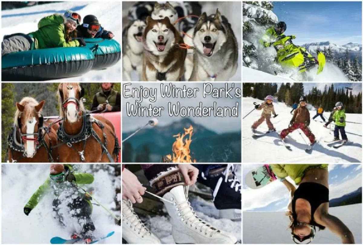 This lively winter scene captures families and children participating in snow tubing, dog sledding with huskies, snowmobiling, skiing, and ice skating. The image is set outdoors and brimming with activity, highlighting the excitement and variety of winter adventures available in the area.
